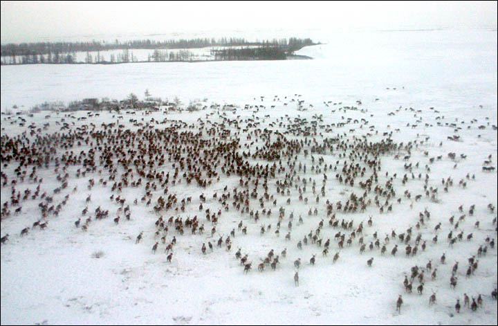 Click to enlarge Sights of Yamal