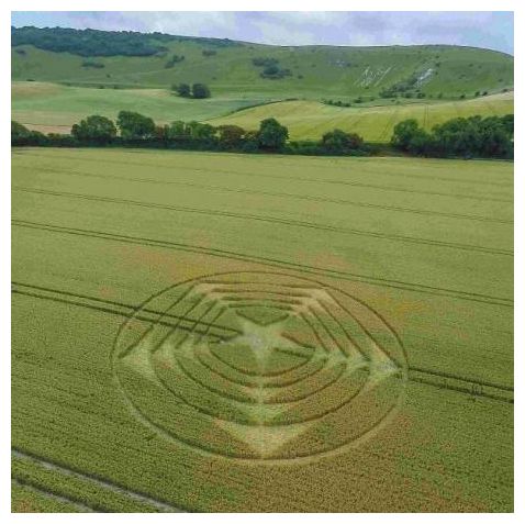 Crop Circle