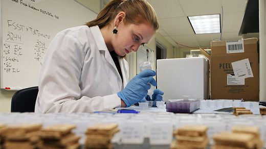 scientist drug resistant bacteria