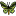 butterfly.png