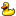 ducky.png