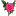 pink_rose.png