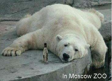 In Moscow Zoo