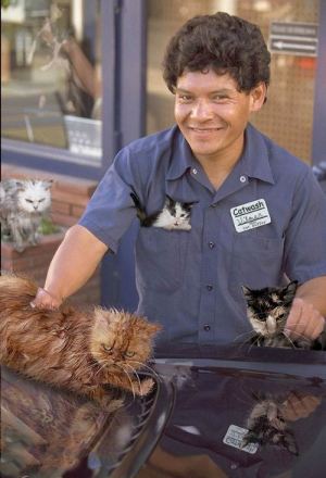 Catwash