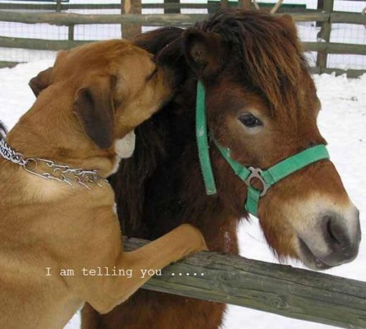 I'm telling you...