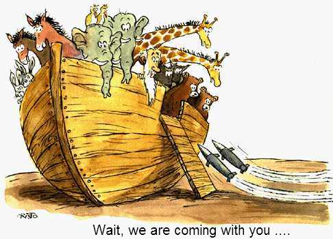 Wait, we are coming with you!