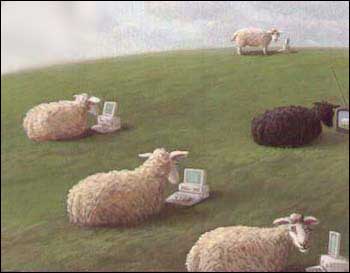 The Black Sheep