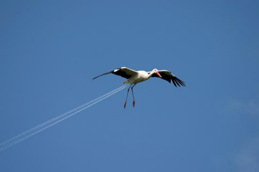 The Secret of Chemtrails