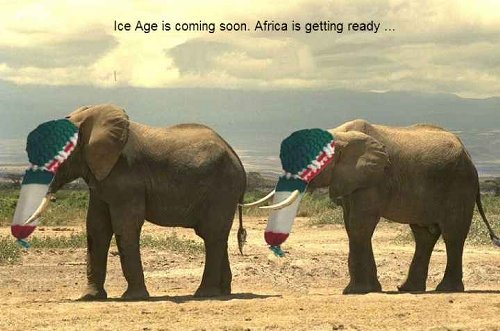 Elephants prepare for Ice Age