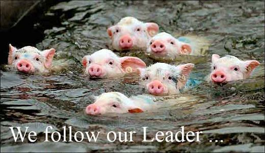 Follow the leader