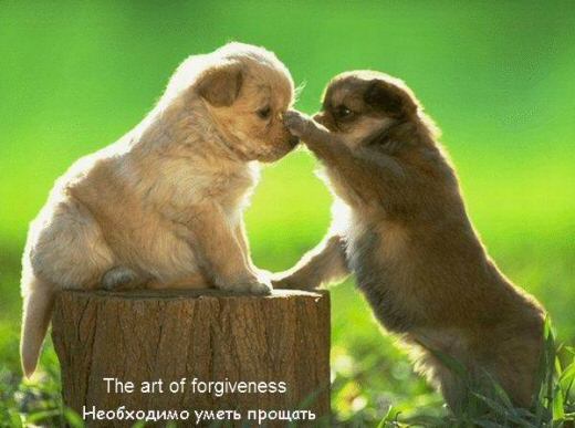 Forgiveness