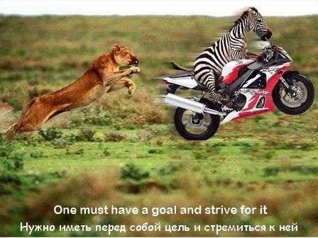 One must have a goal