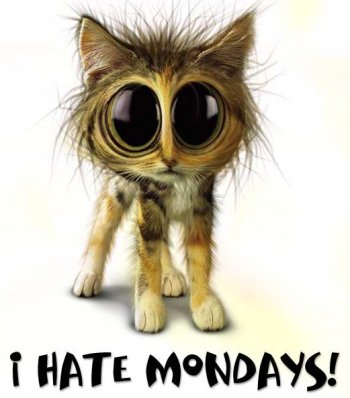 I hate Mondays!