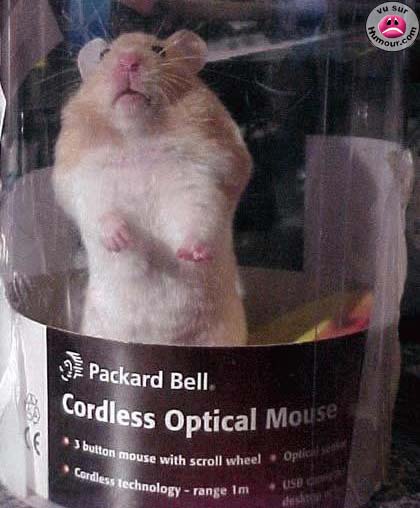 Optical Mouse