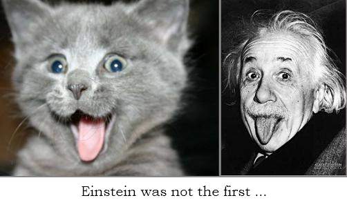 Reincarnation