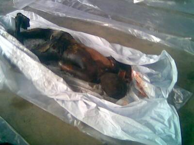 Dead Lebanese Child Killed by Israeli War Criminals
