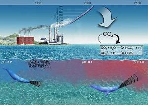 Click to enlarge increasing carbon dioxide
