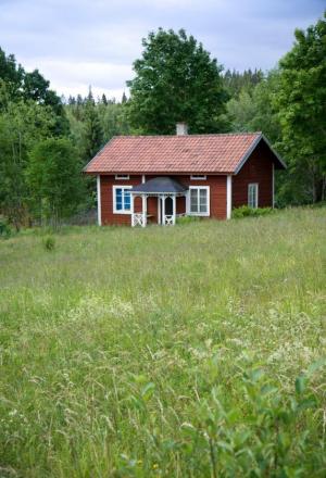 plutonium in Swedish soil 