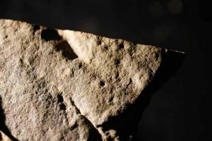Trackway of one of the earliest animals