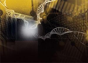 Artistic illustration of a phylostratigraphy