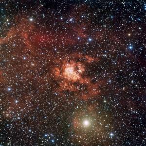 Click to enlarge young stars Westerlund 2