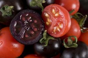 Purple, high anthocyanin tomatoes and red wild-type tomatoes