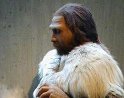 Click to enlarge Neanderthal