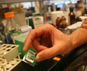 programmable genetic clock 