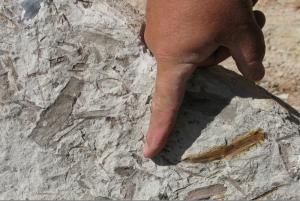archeological site in Utah 