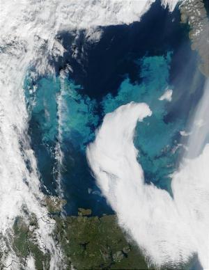 plankton bloom off Norway