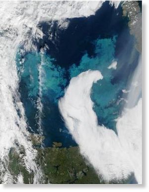 plankton bloom off Norway