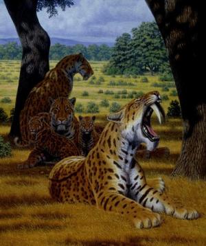 Click to enlarge sabertooth cats