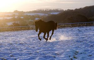 Click to enlarge Snow Britain