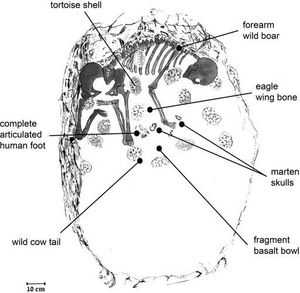 Click to enlarge Image