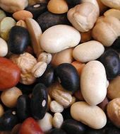 beans