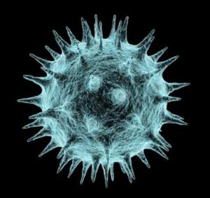 Computer-generated image of a virus