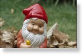 gnome