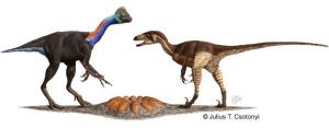 dinosaur nest 