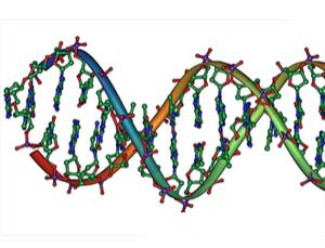 DNA
