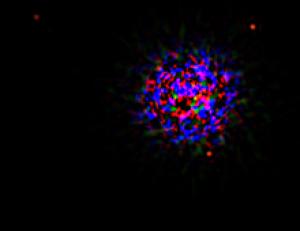  star HR 8799 