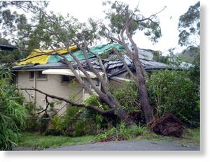 Click to enlarge Brisbane Storms 1
