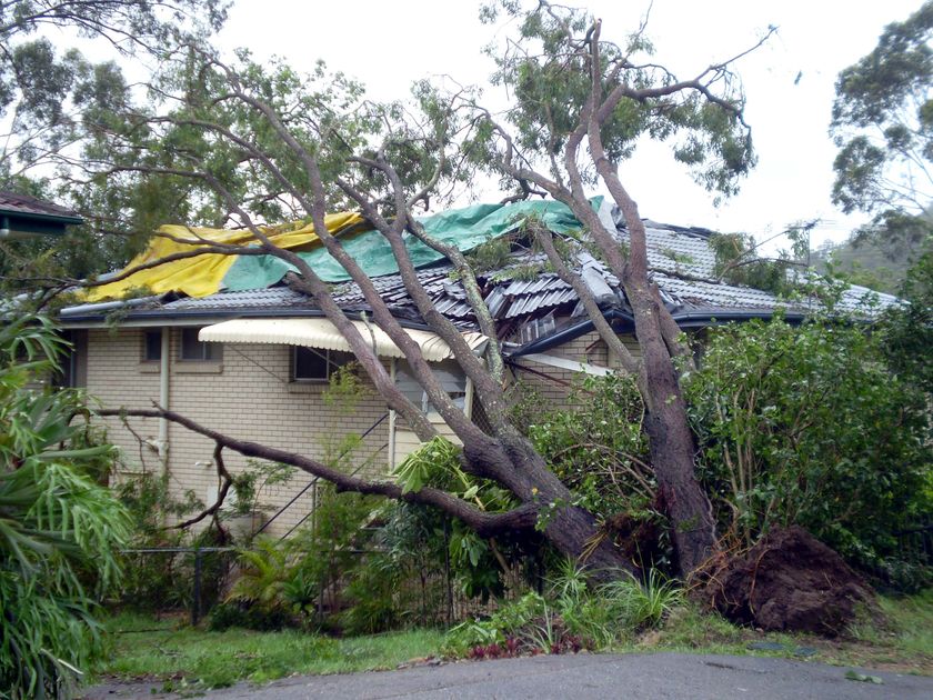 Brisbane Storms 1
