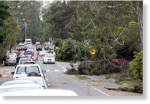 Click to enlarge Brisbane Storms 2