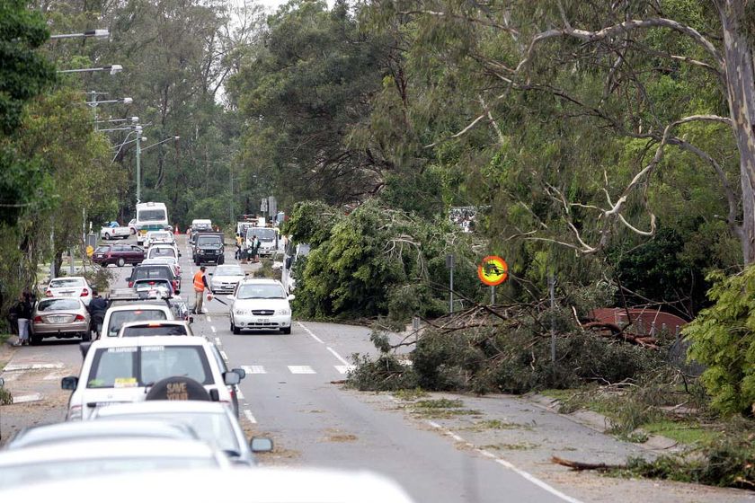 Click to enlarge Brisbane Storms 2