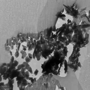 Inti particle