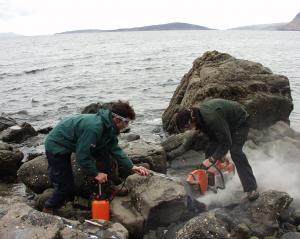 Researchers cutting the block of stone to extract jurrasic turtle