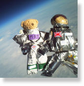 Teddies in Space
