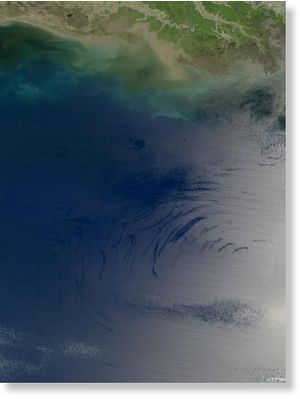 Click to enlarge Natural oil slicks in the Gulf of Mexico can be seen in satellite