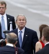 Bush