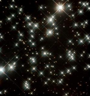 white dwarfs